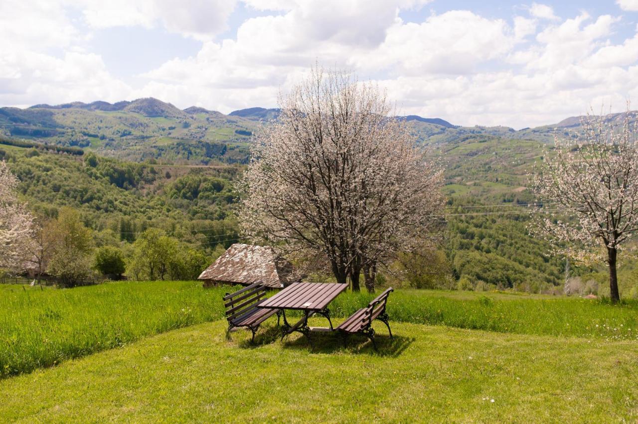 Vila Angelina Kušići Exterior foto